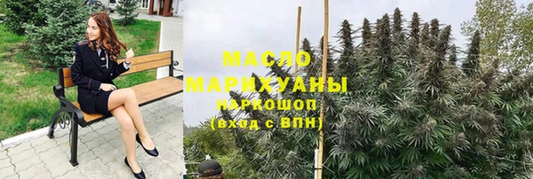 гидра Новодвинск