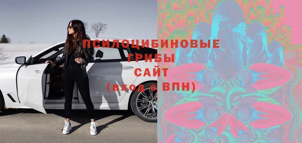 круглые Аркадак